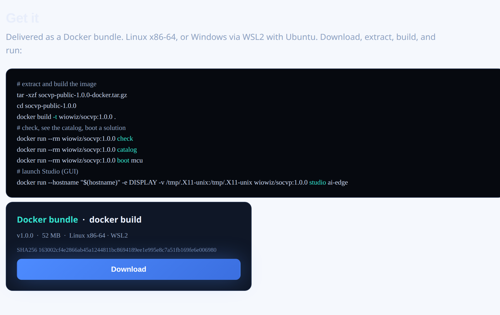 The socvp download on wiowiz.ai: the Docker bundle with docker build instructions and a Download button.